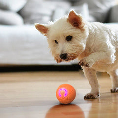 Interactive Gravity Bouncing Pet Ball Toy