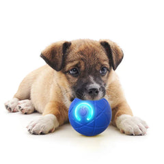 Interactive Pet Ball Toy - Brown and tan puppy lies on white background, holding a blue glowing toy ball under its chin
