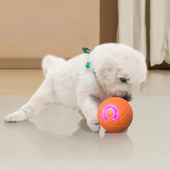 Interactive Gravity Bouncing Pet Ball Toy