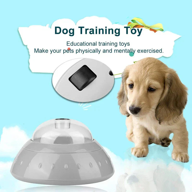 Pet Bowl - Product marketing graphic showing the slow feeder as a dog training toy with a dachshund puppy
