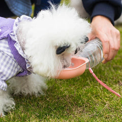 Pet Travel Drinking Water Bowl - Small white dog drinking from the peach-colored bowl attached to a water bottle held by a person on grass