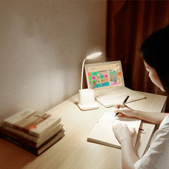Multifunctional Led Desk Lamp With Organizer