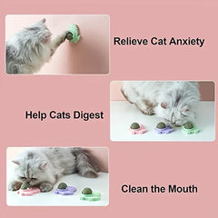 Natural Catnip Ball Wall Lollipop Toy - Long-haired cat interacting with wall-mounted and floor-placed dinosaur toys, with text labels of three functions.
