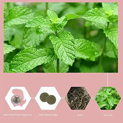 Natural Catnip Ball Wall Lollipop Toy - Diagram showing mint plant, raw dried material, formed balls, and the pink dinosaur toy holder.