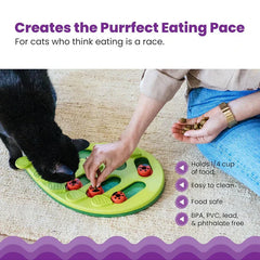 New Cat Slow Feeder Puzzle Bowl Dish