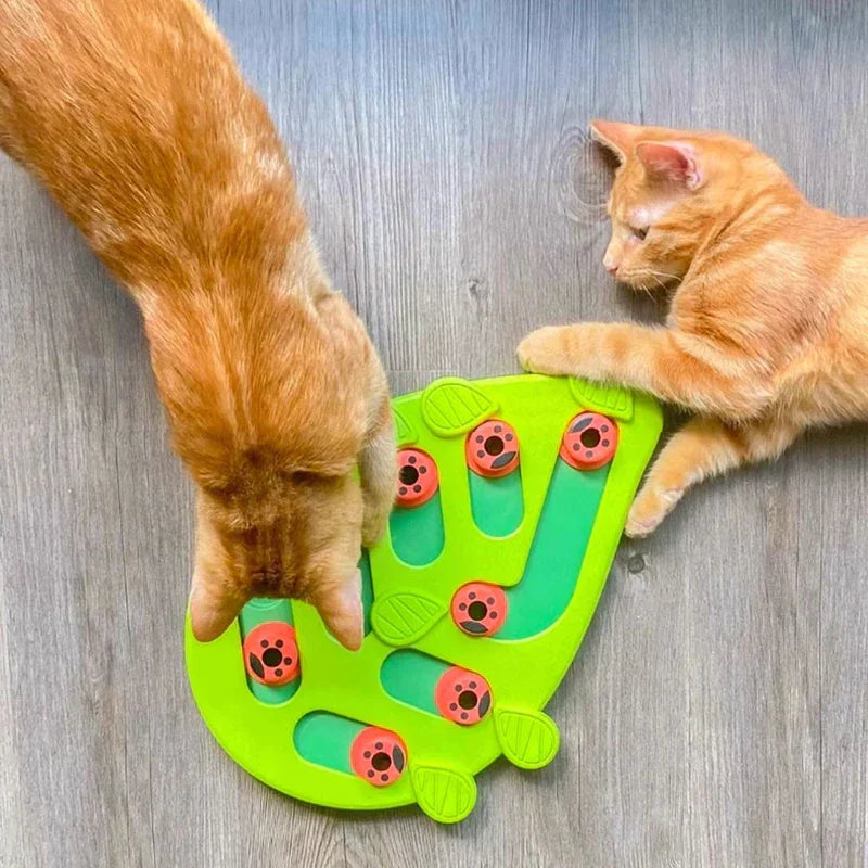 New Cat Slow Feeder Puzzle Bowl Dish