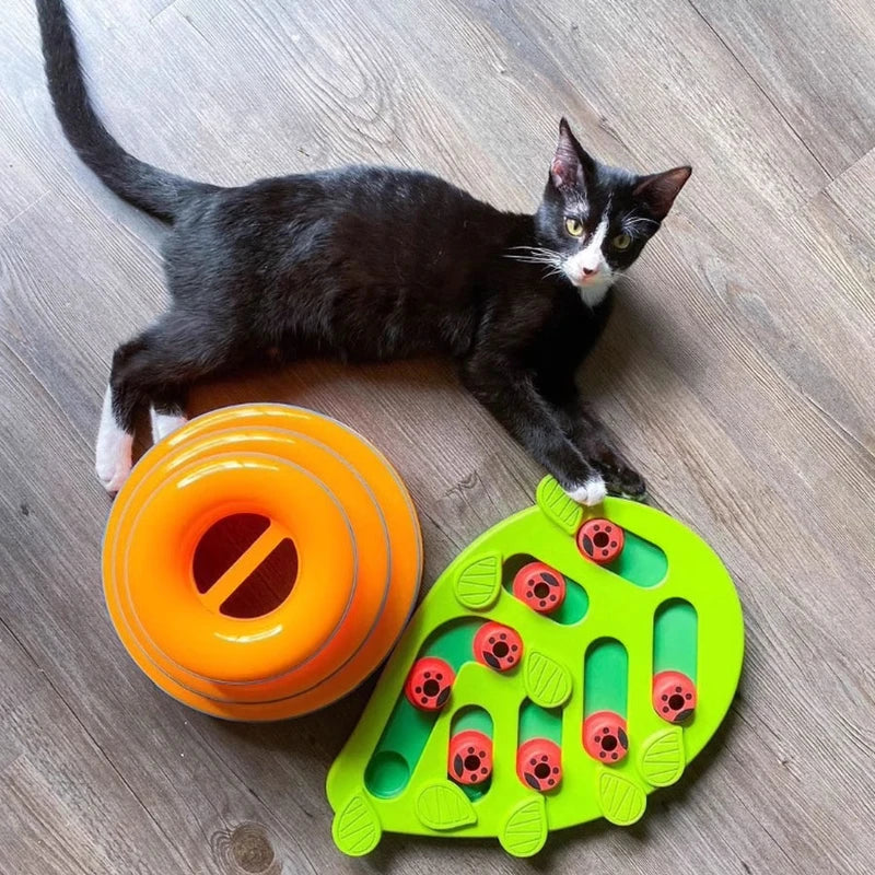 New Cat Slow Feeder Puzzle Bowl Dish