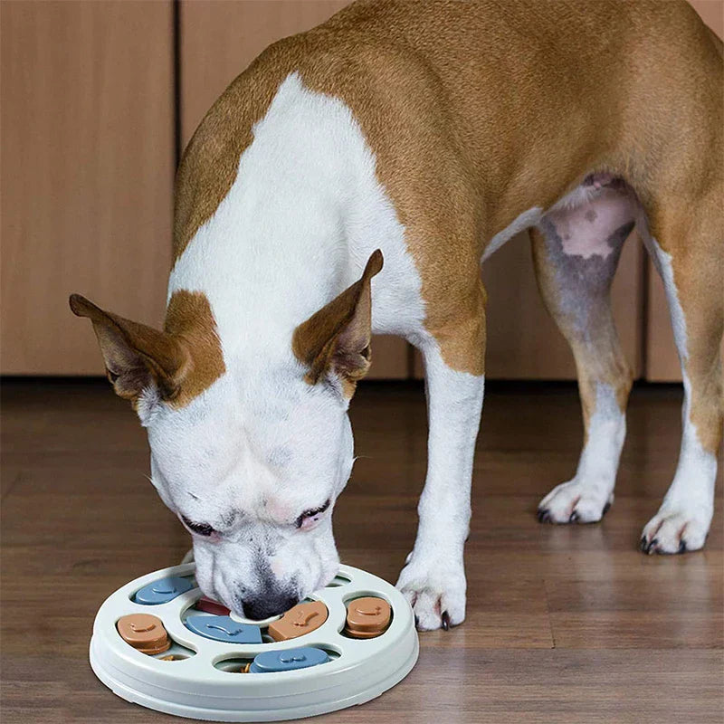 Slow Feeder Dog Bowl - Brown and white dog eating from the puzzle feeding dish on a wood floor