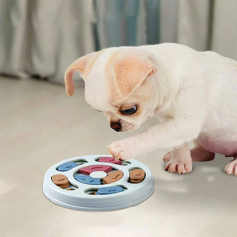 Slow Feeder Dog Bowl - Small chihuahua puppy pawing at the pet puzzle feeder on a smooth light floor