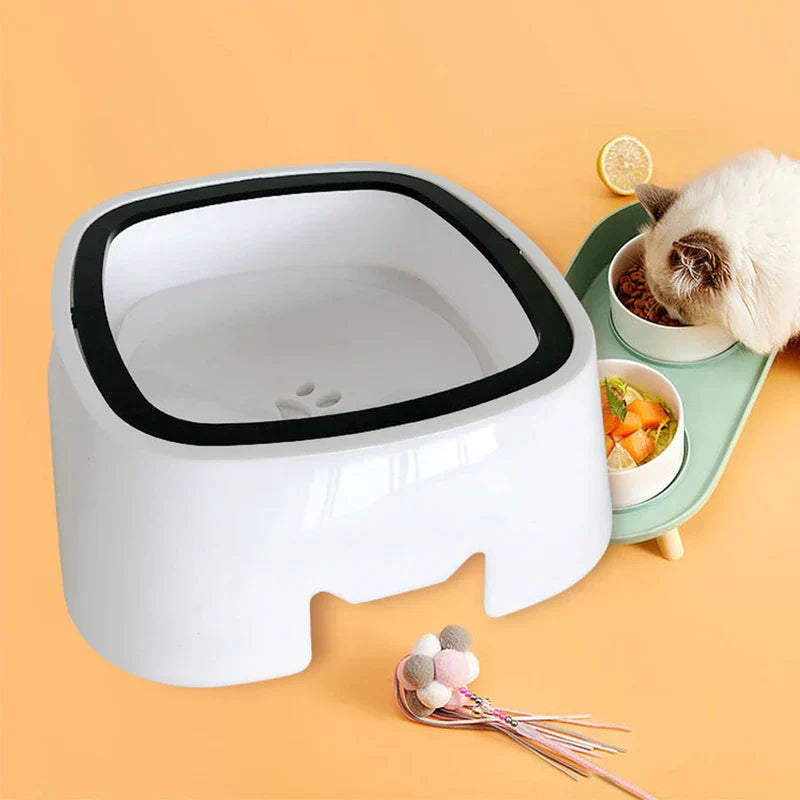 No Spill Dog Water Bowl with food bowl nearby
