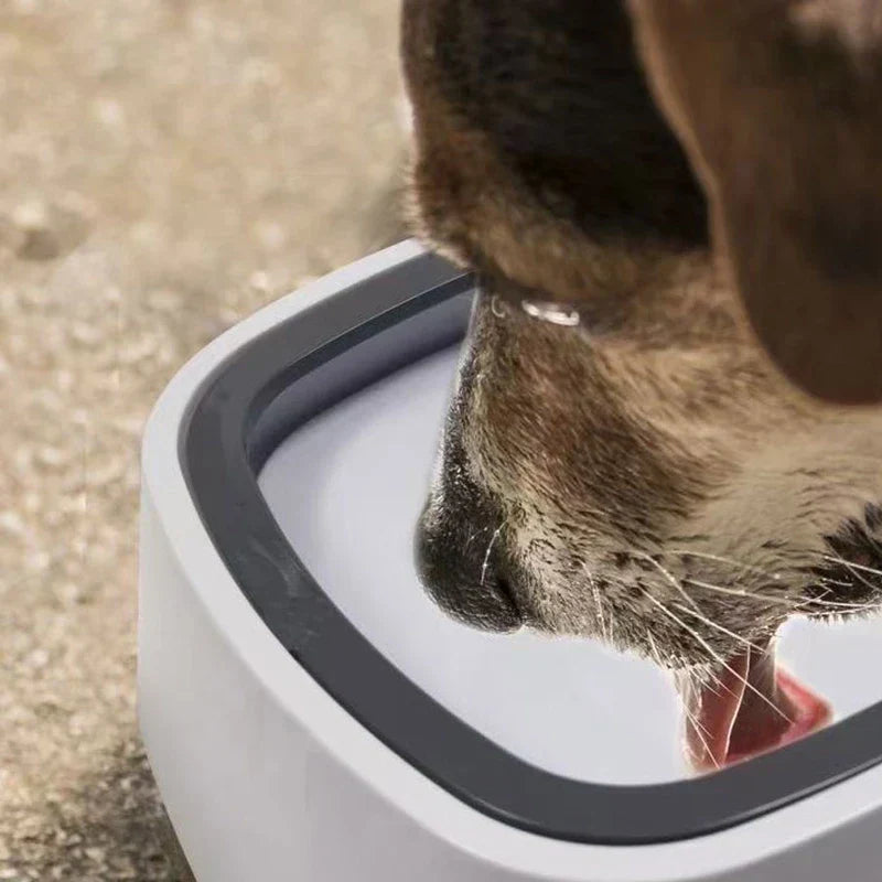 Dog Water Bowl No Spill - Close-up of a dog licking water from a white pet drinking bowl.