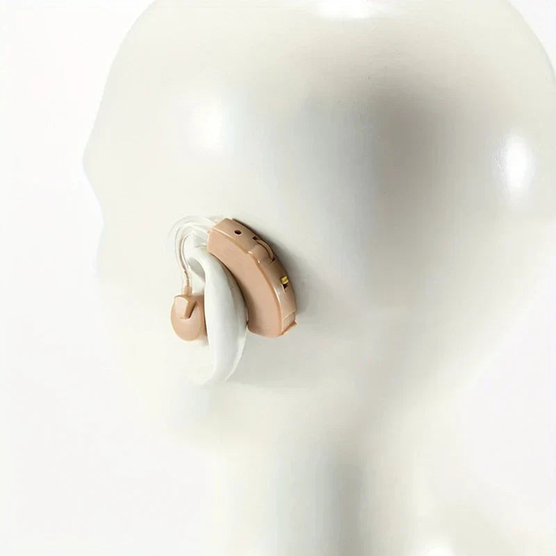 Noise-Cancelling Hearing Amplifier Aid