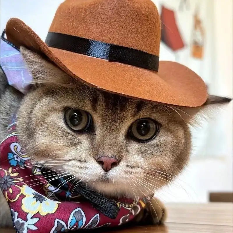 Scarf - Tabby cat wearing a brown mini cowboy hat and red paisley bandana