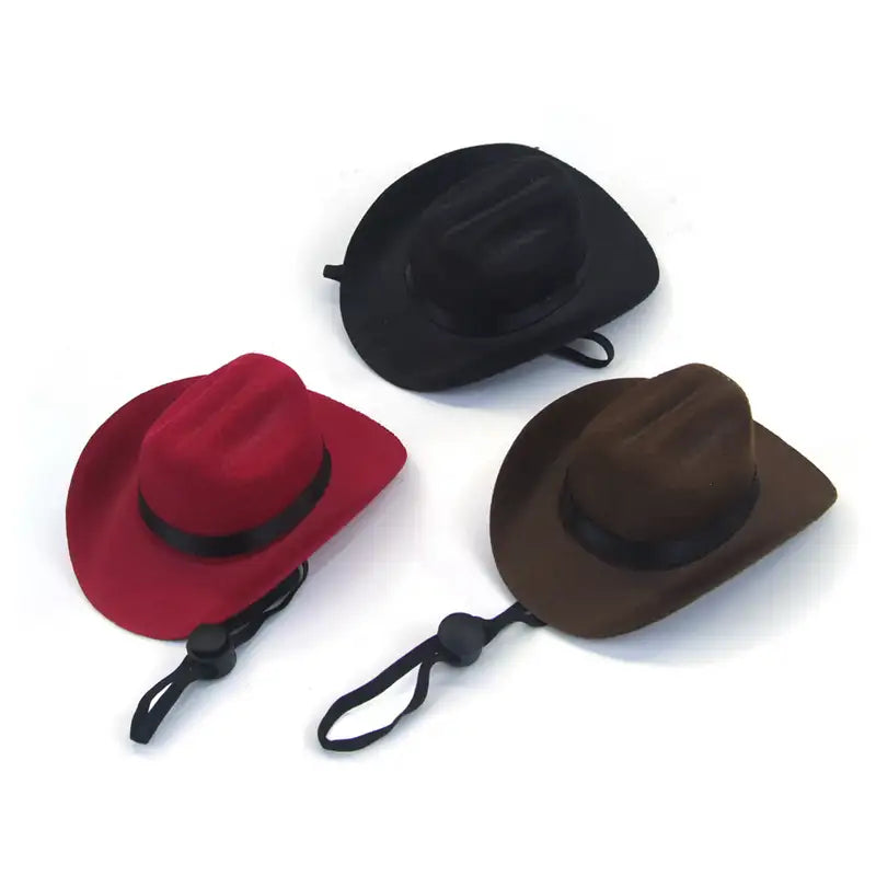 Pet western cowboy hat & scarf set with matching scarf