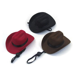 Pet western cowboy hat & scarf set with matching scarf