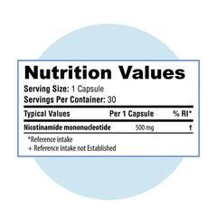 Daily Wellness: High-Potency 500mg Supplement Capsules - New HomeGoods