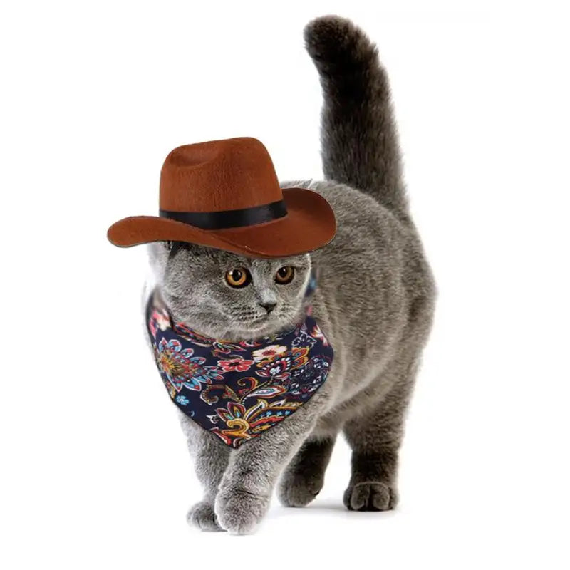 Scarf - Gray cat wearing a brown cowboy hat and a dark paisley patterned bandana, walking on a white background