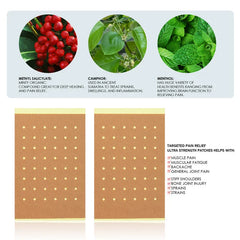 Pain Relief Patch - Two tan perforated pain patches with ingredient graphics and a list of symptoms they assist with.