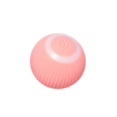 Pet Chew Toy Ball Interactive