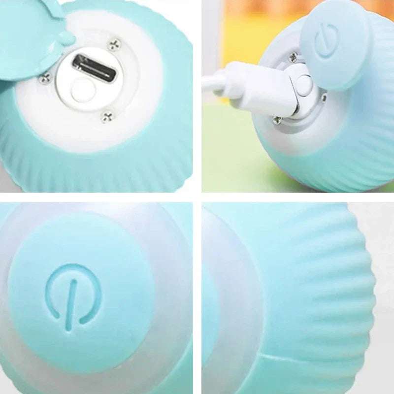 Close-up of the interactive pet chew toy ball