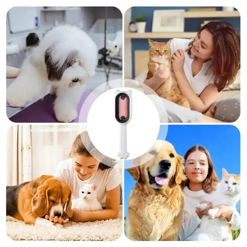 Four photos of people with pets, with the pet grooming brush centered.