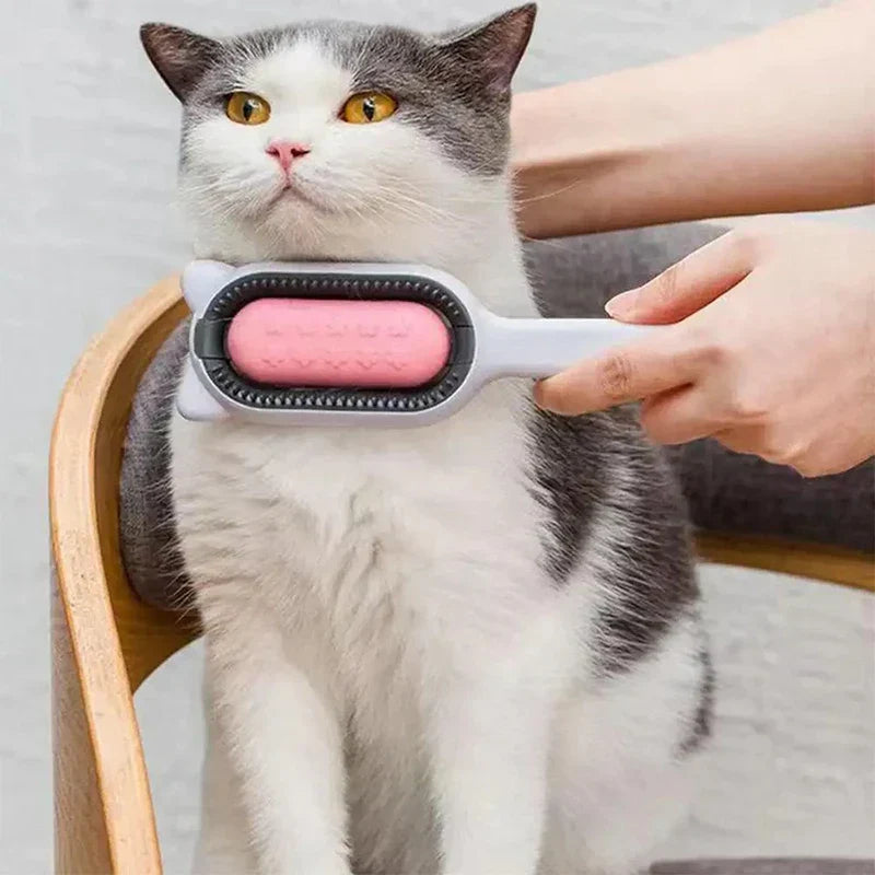 A hand holds a pet grooming brush against a sitting cat's chest.