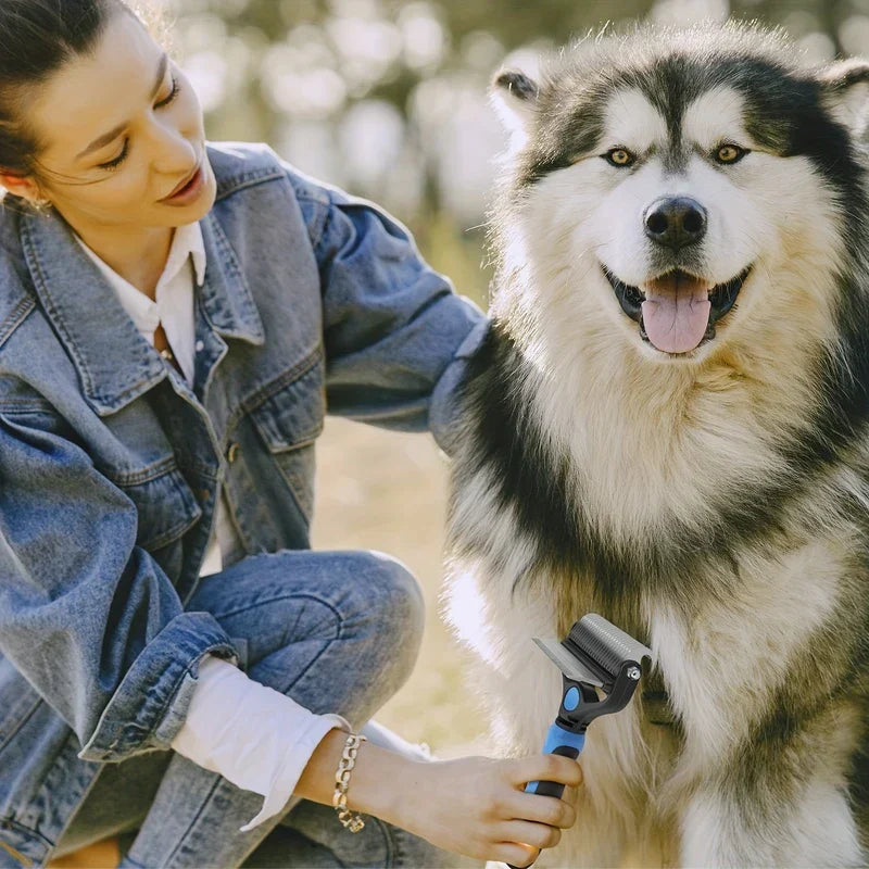 Rake Comb - A woman kneels brushing a fluffy black and white dog with an undercoat grooming rake.