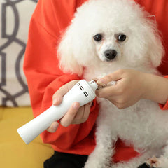 Electric Dog Nail Trimmer - A person using a white nail grinder on a small white dog's nail