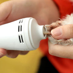 Electric Dog Nail Trimmer - Hand holding a small pet's paw against the tip of a white handheld device, with vent slots visible