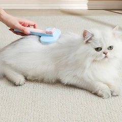 Cleaning Comb - Hand using a pastel blue and pink pet brush to groom a lying long-haired white cat on carpet