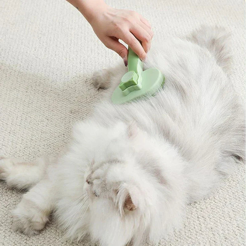 Cleaning Comb - Person brushing the belly fur of a light longhair cat with a green pet brush