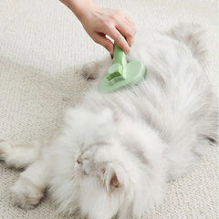 Cleaning Comb - Person brushing the belly fur of a light longhair cat with a green pet brush
