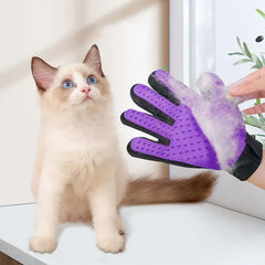 hundehandschuh bürste - Pflegehandschuh bedeckt mit gesammelten losen Katzenhaaren neben einer sitzenden cremefarbenen und braunen Katze mit blauen Augen