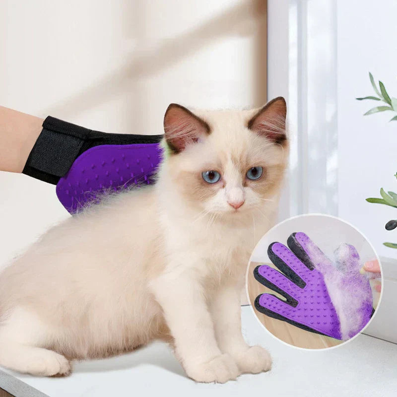 Pet Grooming Mitt - A purple grooming glove with black wrist strap brushes a light cream cat, inset shows collected fur on the glove palm