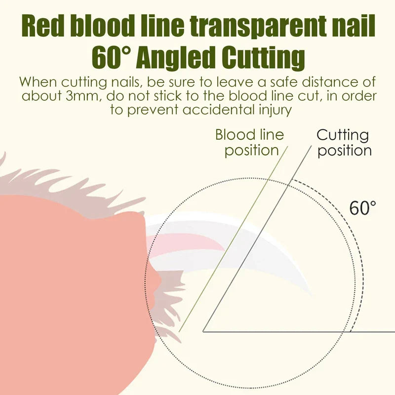 Diagram of 60-degree angled cutting for canine nail clippers, labeled blood line and cutting position guide