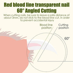 Diagram of 60-degree angled cutting for canine nail clippers, labeled blood line and cutting position guide
