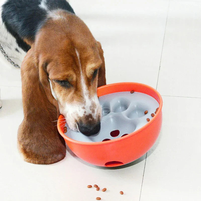 Pet Slow Feeder Puzzle Bowl Dish shown with kibble in the obstacles
