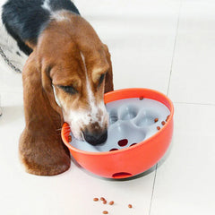 Pet Slow Feeder Puzzle Bowl Dish shown with kibble in the obstacles