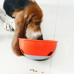 Basset hound eating from an orange bowl slow feeder on a light tiled floor.