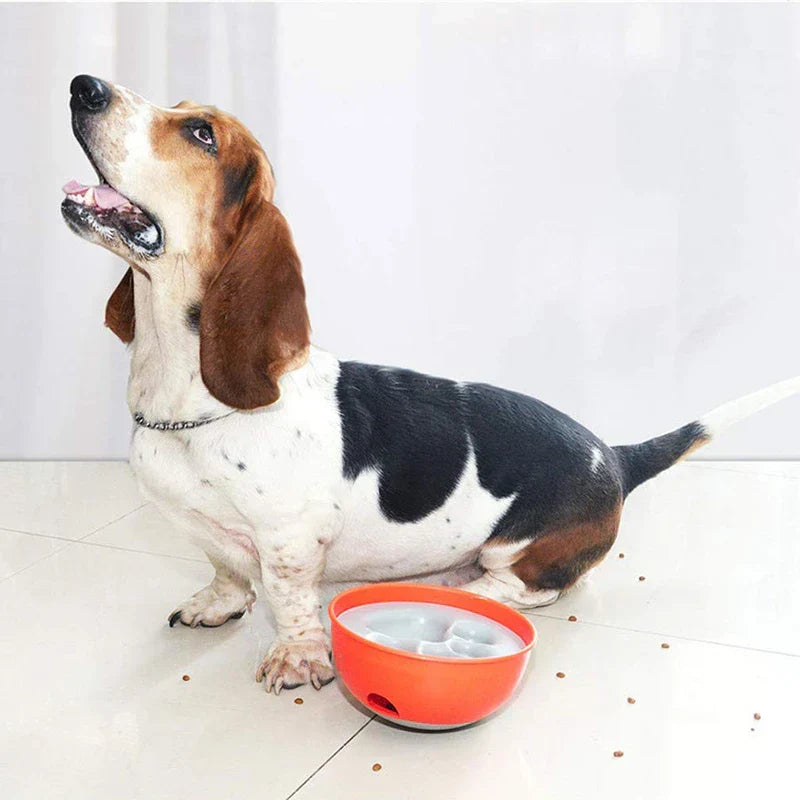 Tricolor basset hound sits on tile floor with scattered kibble beside an orange bowl slow feeder