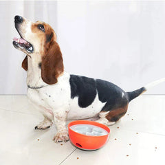 Tricolor basset hound sits on tile floor with scattered kibble beside an orange bowl slow feeder