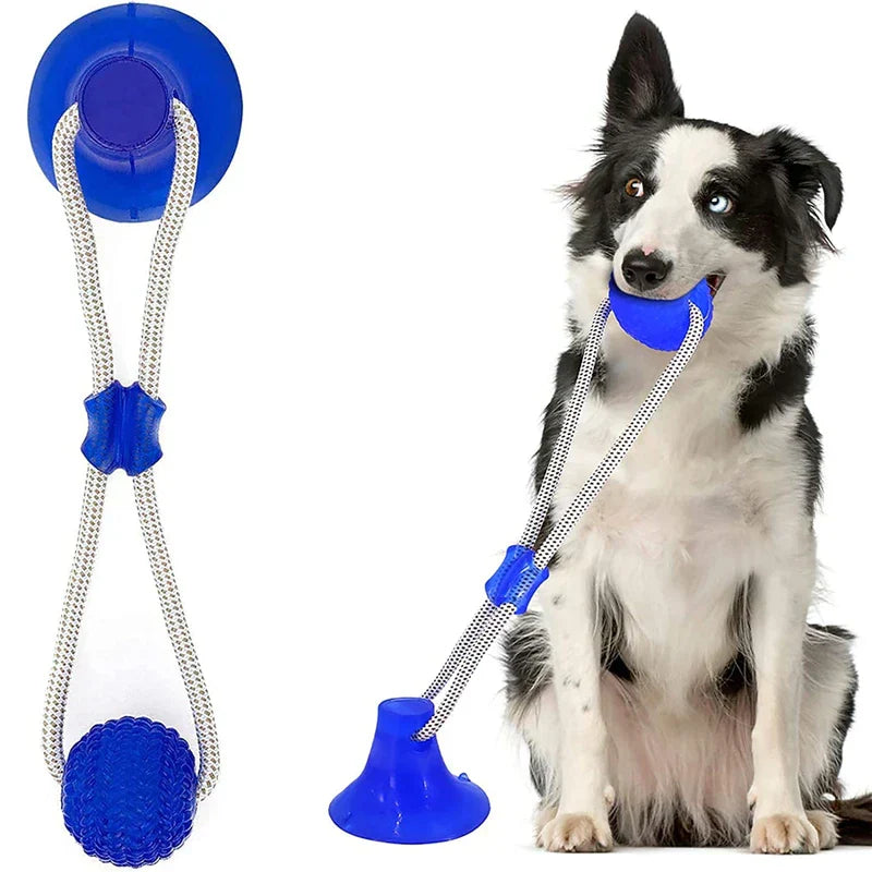 Suction cup chew ball toy molar with durable blue ball and suction base