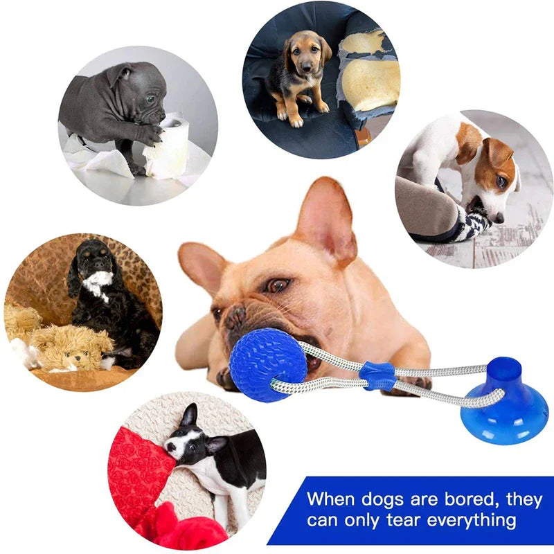 Pet Suction Cup Chew Ball Toy Molar