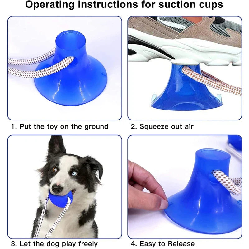 Pet Suction Cup Chew Ball Toy Molar