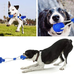 Pet Suction Cup Chew Ball Toy Molar