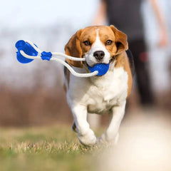 Pet Suction Cup Chew Ball Toy Molar