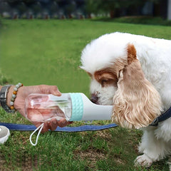 Perro bebiendo del dispensador de agua portátil durante un paseo