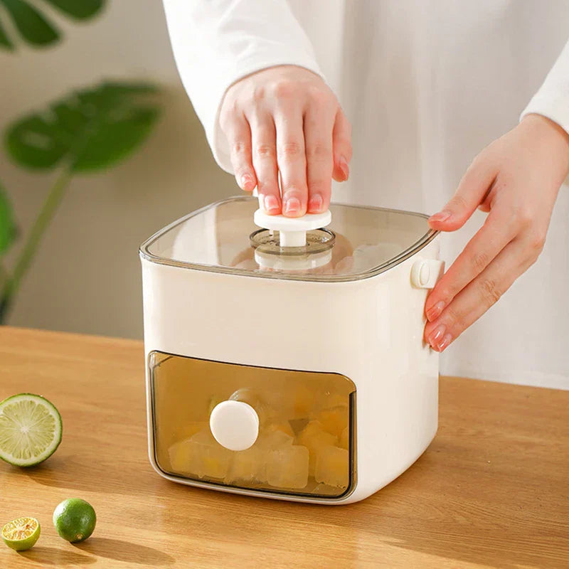 Press Release Double Layer Ice Cube Tray Box