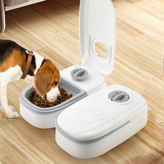 Programmable timed pet food dispensing station in use