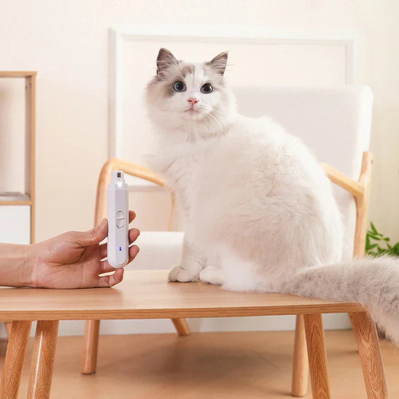 Rechargeable pet nail trimmer held beside fluffy ragdoll cat on wooden table